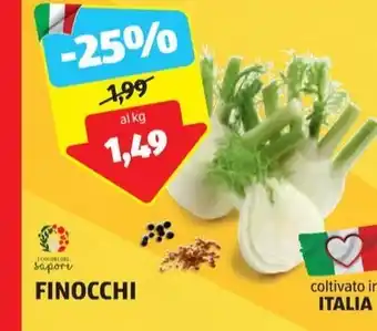 ALDI FINOCCHI offerta
