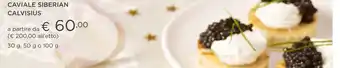 CAVIALE SIBERIAN CALVISIUS