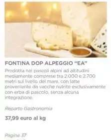 FONTINA DOP ALPEGGIO "EA"