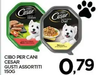 Interspar Cesar Cibo per cani offerta