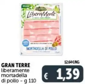 Deco Supermercati GRAN TERRE liberamente mortadella di pollo - g 110 offerta