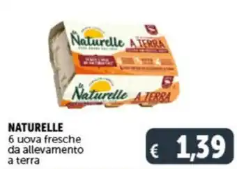 Deco Supermercati NATURELLE 6 uova fresche da allevamento a terra offerta