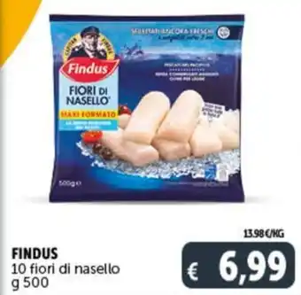 FINDUS 10 fiori di nasello g 500