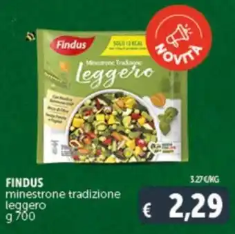 Deco Supermercati FINDUS minestrone tradizione leggero g 700 offerta