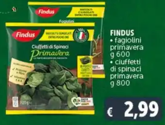 Deco Supermercati FINDUS fagiolini primavera g 600 offerta