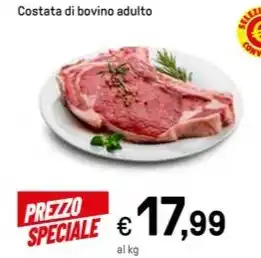 Costata di bovino adulto