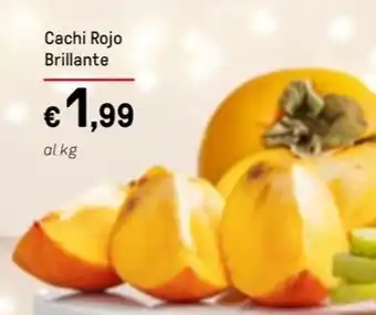 Cachi Rojo Brillante