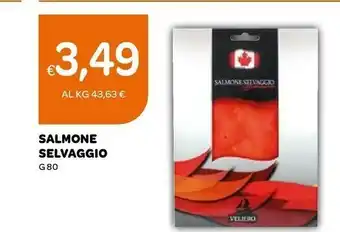Ekom Selvaggio Salmone offerta