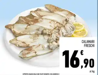 Conad CALAMARI FRESCHI offerta