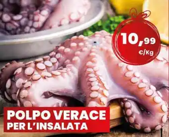 Terramare Surgelati POLPO VERACE PER L'INSALATA offerta