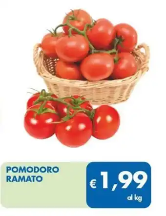 MD Discount POMODORO Ramato offerta