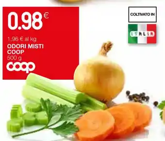 Coop ODORI MISTI COOP 500 g offerta