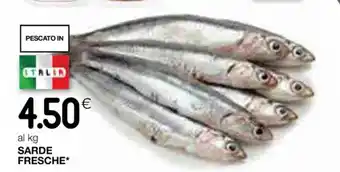 SARDE FRESCHE