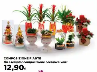 Ipercoop COMPOSIZIONE PIANTE offerta