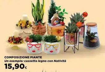 Ipercoop COMPOSIZIONE PIANTE cassetta legno con Natività offerta