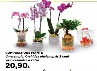 Ipercoop COMPOSIZIONE PIANTE Orchidea phalenopsis 2 rami vaso ceramica o vetro offerta