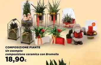 Ipercoop COMPOSIZIONE PIANTE composizione ceramica con Bromelia offerta