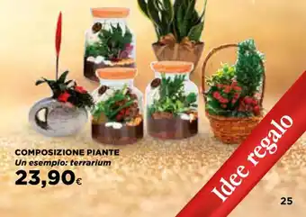 Ipercoop COMPOSIZIONE PIANTE terrarium offerta