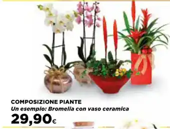 Ipercoop COMPOSIZIONE PIANTE Bromelia con vaso ceramica offerta