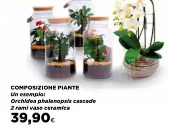 Ipercoop COMPOSIZIONE PIANTE Orchidea phalenopsis cascade offerta