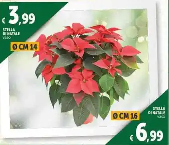 Deco Supermercati STELLA DI NATALE offerta