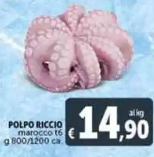 Deco Supermercati POLPO RICCIO offerta