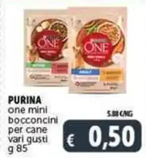 Deco Supermercati PURINA one mini bocconcini per cane offerta