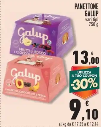 Conad City PANETTONE GALUP vari tipi 750 g offerta