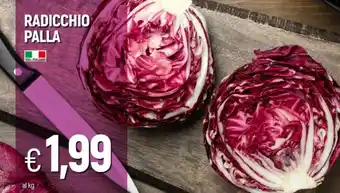 Galassia RADICCHIO PALLA offerta