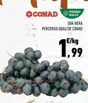 Uva Nera