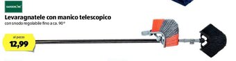 ALDI Gardenline Levaragnatele con manico telescopico offerta