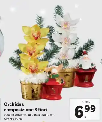 Lidl Orchidea composizione 3 fiori offerta