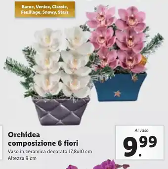 Orchidea composizione 6 fiori