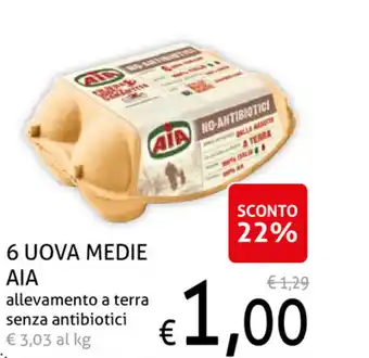 Ecu Discount AIA 6 Uova Medie offerta