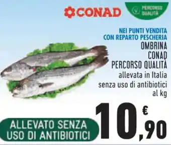 Conad OMBRINA CONAD PERCORSO QUALITA offerta