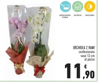 Conad ORCHIDEA 2 RAMI offerta