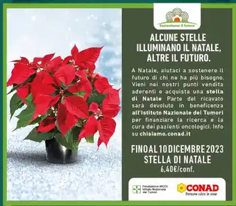 Conad STELLA DI NATALE offerta