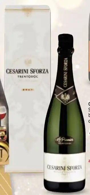 MEGA CESARINI SFORZA Spumante Le Premier Trento DOC brut metodo classico cl 75 offerta
