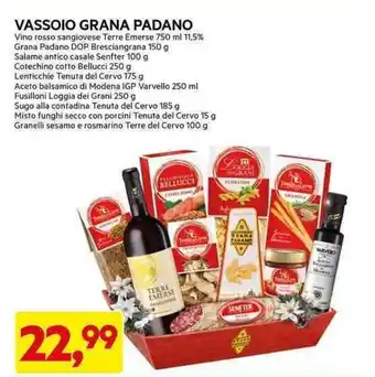 DPiù VASSOIO GRANA PADANO Vino offerta