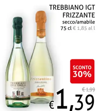 Ecu Discount Trebbiano IGT Frizzante Secco/Amabile 75 cl offerta