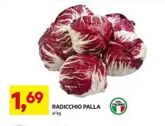 DPiù RADICCHIO PALLA offerta