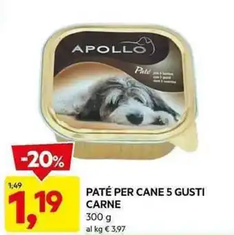 DPiù PATÉ PER CANE 5 GUSTI CARNE 300 g offerta