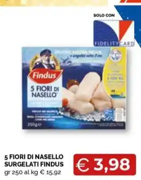 Mercatò Local 5 FIORI DI NASELLO SURGELATI FINDUS offerta