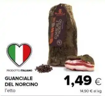 Oasi GUANCIALE DEL NORCINO offerta