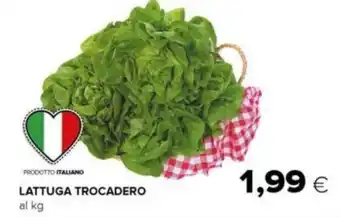 Oasi LATTUGA TROCADERO offerta