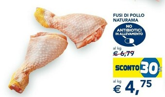 Esselunga Fusi Di Pollo Naturama offerta