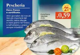 Mare aperto Gamberi