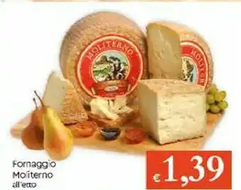 Galassia Pecorino offerta
