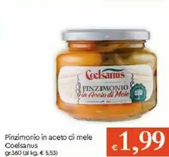 Galassia Coelsanus Aceto offerta