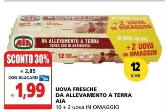 Il Gigante Aia Uova Fresche Da Allevamento A Terra offerta